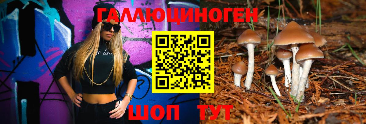 Вышний Волочёк  Галлюциногенные грибы Cubensis  Галлюциногенные грибы мухоморы  наркошоп  Вход с VPN 