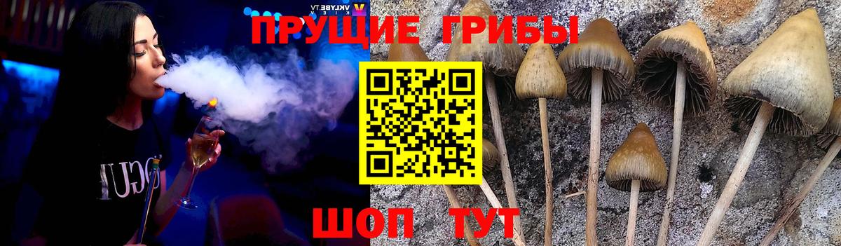 Псилоцибиновые грибы ЛСД Вышний Волочёк