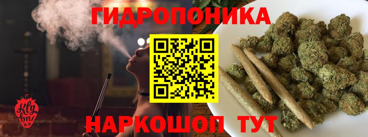 Шишки марихуана AK-47  Шишки марихуана VHQ  Марихуана план  Вход с VPN  Вышний Волочёк  Шишки марихуана индика 